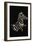 Zebra-Norma Kramer-Framed Art Print