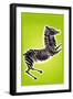 Zebra-Frank Mcintosh-Framed Art Print
