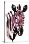 Zebra-Trends International-Stretched Canvas