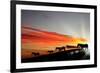 Zebras Agaisnt Sky Background-Sergey Nivens-Framed Photographic Print