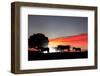 Zebras Agaisnt Sky Background-Sergey Nivens-Framed Photographic Print