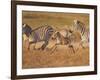 Zebras and Offspring at Sunset, Amboseli Wildlife Reserve, Kenya-Vadim Ghirda-Framed Premium Photographic Print