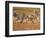 Zebras and Offspring at Sunset, Amboseli Wildlife Reserve, Kenya-Vadim Ghirda-Framed Photographic Print