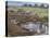 Zebras and Wildebeest at a Waterhole, Tanzania-null-Stretched Canvas