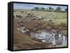 Zebras and Wildebeest at a Waterhole, Tanzania-null-Framed Stretched Canvas