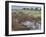 Zebras and Wildebeest at a Waterhole, Tanzania-null-Framed Premium Photographic Print