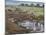 Zebras and Wildebeest at a Waterhole, Tanzania-null-Mounted Photographic Print