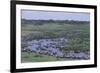 Zebras and Wildebeest at Water Hole-DLILLC-Framed Photographic Print