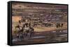 Zebras and Wildebeest Gathered near Water-DLILLC-Framed Stretched Canvas