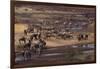 Zebras and Wildebeest Gathered near Water-DLILLC-Framed Photographic Print