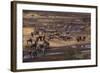 Zebras and Wildebeest Gathered near Water-DLILLC-Framed Photographic Print