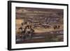 Zebras and Wildebeest Gathered near Water-DLILLC-Framed Photographic Print