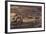 Zebras and Wildebeest Gathered near Water-DLILLC-Framed Photographic Print