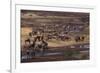 Zebras and Wildebeest Gathered near Water-DLILLC-Framed Photographic Print