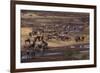 Zebras and Wildebeest Gathered near Water-DLILLC-Framed Photographic Print