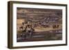 Zebras and Wildebeest Gathered near Water-DLILLC-Framed Photographic Print