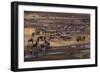 Zebras and Wildebeest Gathered near Water-DLILLC-Framed Photographic Print