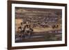 Zebras and Wildebeest Gathered near Water-DLILLC-Framed Photographic Print