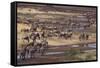 Zebras and Wildebeest Migrating-DLILLC-Framed Stretched Canvas