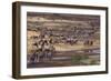 Zebras and Wildebeest Migrating-DLILLC-Framed Photographic Print