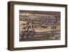 Zebras and Wildebeest Migrating-DLILLC-Framed Photographic Print