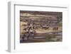 Zebras and Wildebeest Migrating-DLILLC-Framed Photographic Print