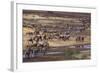 Zebras and Wildebeest Migrating-DLILLC-Framed Photographic Print