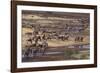 Zebras and Wildebeest Migrating-DLILLC-Framed Photographic Print