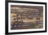 Zebras and Wildebeest Migrating-DLILLC-Framed Photographic Print