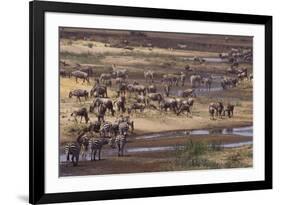 Zebras and Wildebeest Migrating-DLILLC-Framed Photographic Print