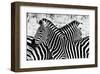 Zebras at Dawn-null-Framed Art Print