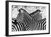 Zebras at Dawn-null-Framed Art Print