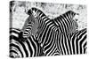 Zebras at Dawn-null-Stretched Canvas