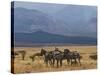 Zebras at the Nechisar National Park, Ethiopia, Africa-Michael Runkel-Stretched Canvas