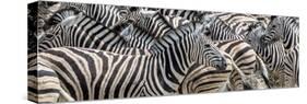 Zebras at waterhole, Namibia, Africa-Art Wolfe Wolfe-Stretched Canvas