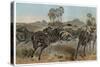 Zebras by Alfred Edmund Brehm-Stefano Bianchetti-Stretched Canvas