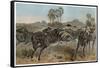 Zebras by Alfred Edmund Brehm-Stefano Bianchetti-Framed Stretched Canvas