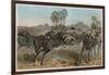 Zebras by Alfred Edmund Brehm-Stefano Bianchetti-Framed Giclee Print