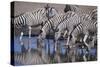 Zebras Drinking at Pond-DLILLC-Stretched Canvas