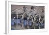 Zebras Drinking at Pond-DLILLC-Framed Photographic Print