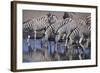 Zebras Drinking at Pond-DLILLC-Framed Photographic Print