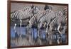 Zebras Drinking at Pond-DLILLC-Framed Photographic Print