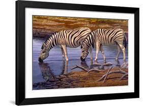 Zebras Drinking-Clive Kay-Framed Art Print