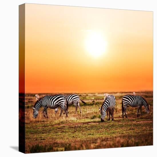 Zebras Herd on Savanna at Sunset, Africa. Safari in Serengeti, Tanzania-Michal Bednarek-Stretched Canvas