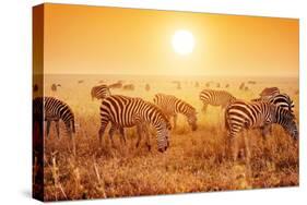 Zebras Herd on Savanna at Sunset, Africa. Safari in Serengeti, Tanzania-Michal Bednarek-Stretched Canvas