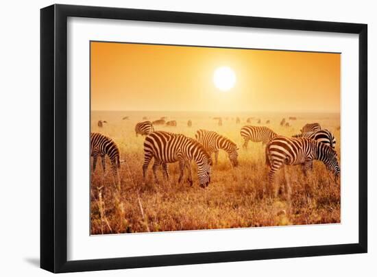 Zebras Herd on Savanna at Sunset, Africa. Safari in Serengeti, Tanzania-Michal Bednarek-Framed Photographic Print