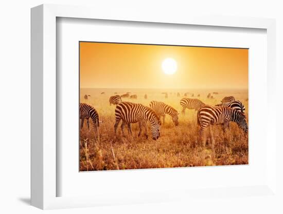 Zebras Herd on Savanna at Sunset, Africa. Safari in Serengeti, Tanzania-Michal Bednarek-Framed Photographic Print