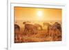 Zebras Herd on Savanna at Sunset, Africa. Safari in Serengeti, Tanzania-Michal Bednarek-Framed Photographic Print