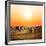 Zebras Herd on Savanna at Sunset, Africa. Safari in Serengeti, Tanzania-Michal Bednarek-Framed Photographic Print