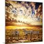 Zebras Herd on Savanna at Sunset, Africa. Safari in Serengeti, Tanzania-Michal Bednarek-Mounted Photographic Print